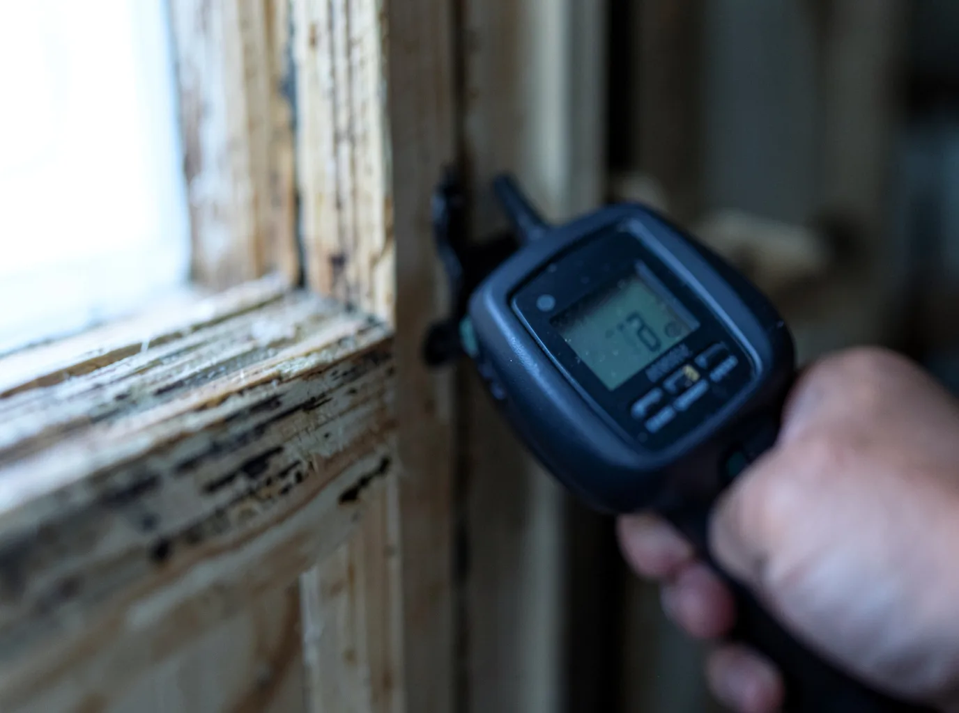 Ceiling Water Damage Repair in Laingsburg, MI